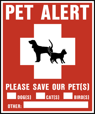 Pet Safety-B