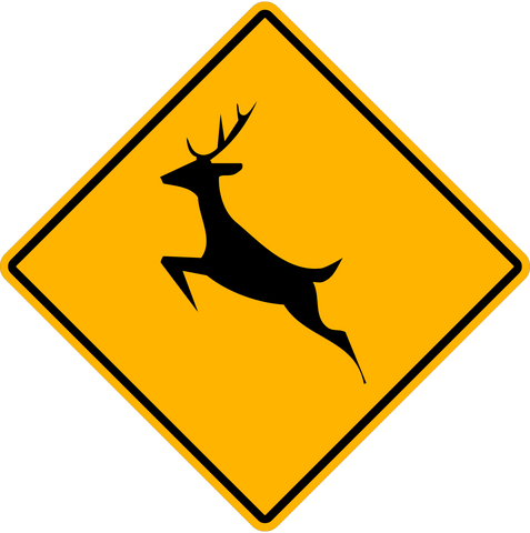 WC-13 Deer Crossing Graphic